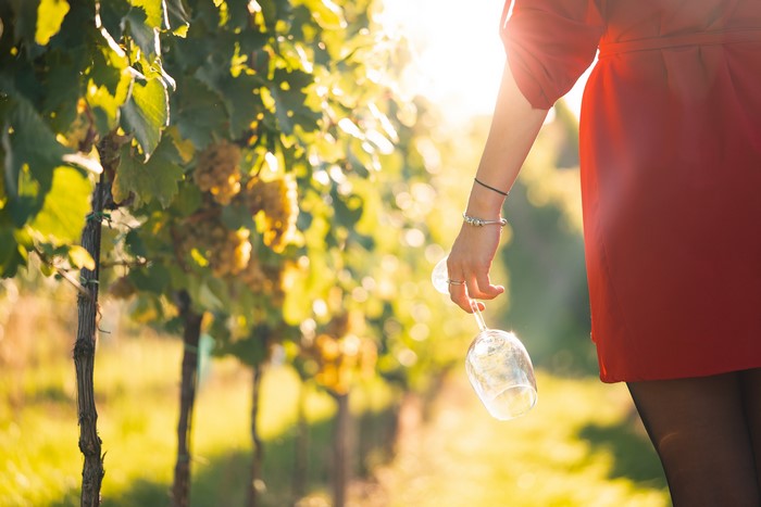 Woman in red dress holding wine glass in vineyard