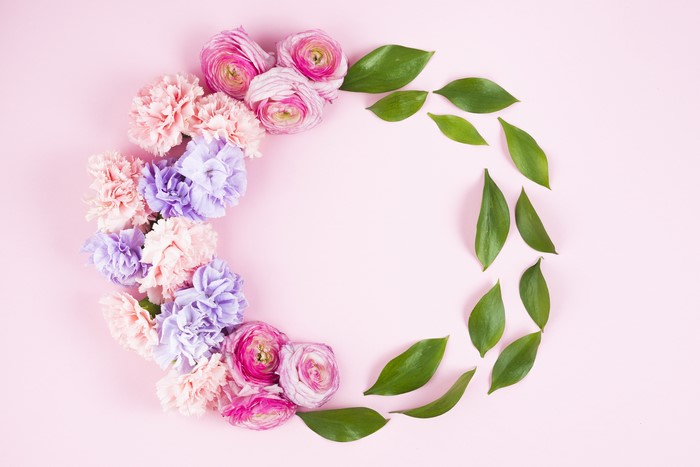 Pink Carnations and Roses with Green Leaves on Pink Background