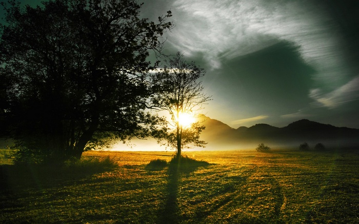 Sunrise over a misty field with trees and mountains