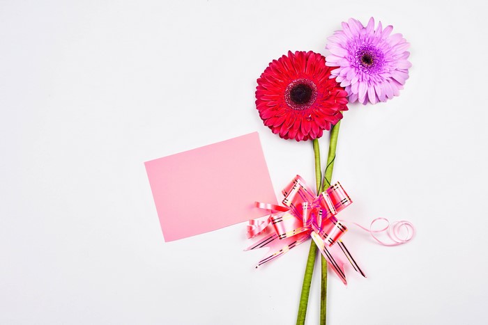 Two Gerberas with Pink Card and Bow