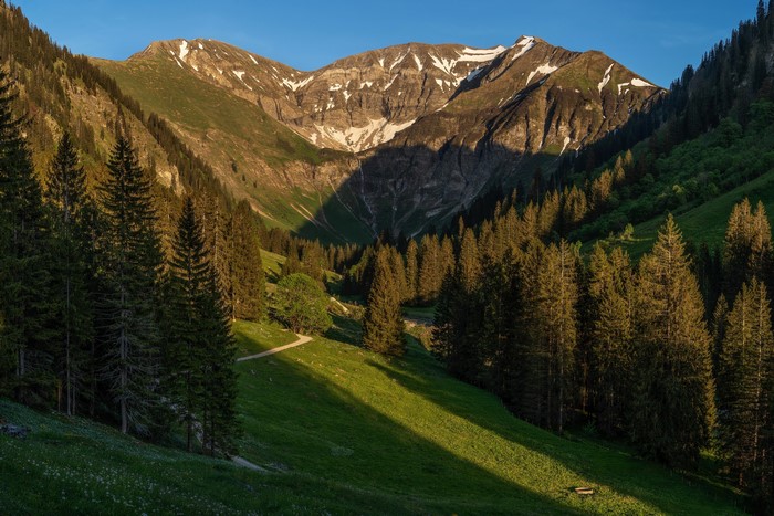 Mountains and forest in Bavaria, Germany