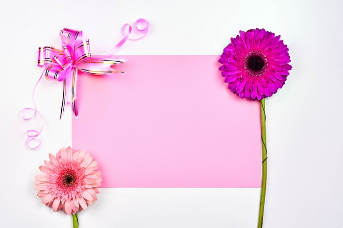 Pink and purple gerberas with bow and pink paper