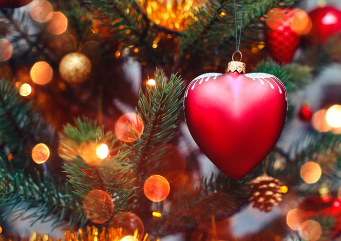Red Heart Ornament on Christmas Tree Branches