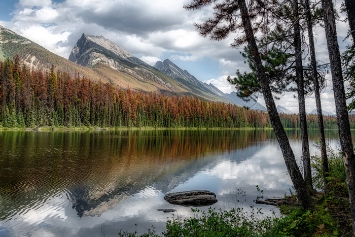 Honeymoon Lake, Alberta, Canada Mountains and Trees