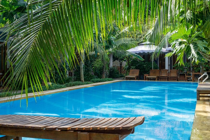 Resort swimming pool with palm trees and lounge chairs