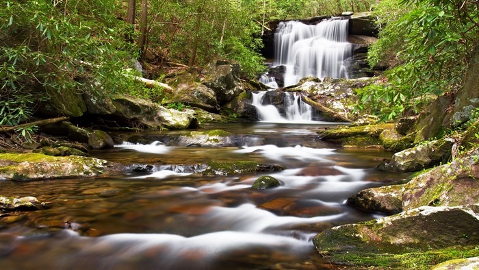 Waterfall and stream with mossy rocks