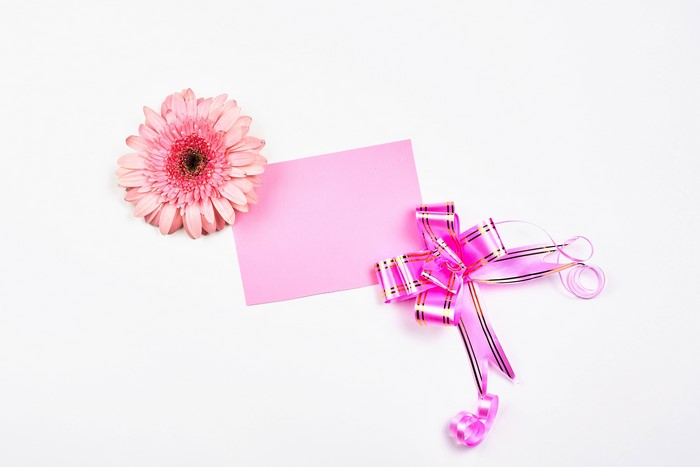 Pink Gerbera flower with pink card and bow on white background