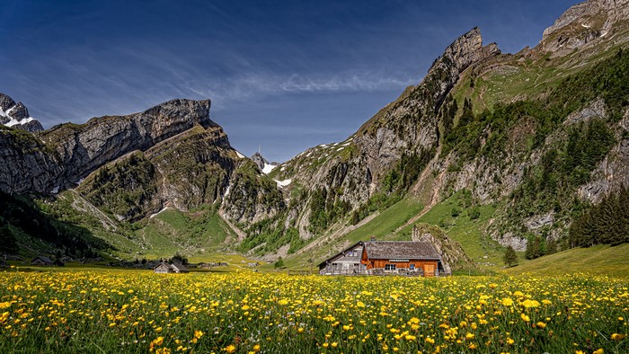4K Alpstein Switzerland Mountains Houses Grasslands Dandelions Alps
