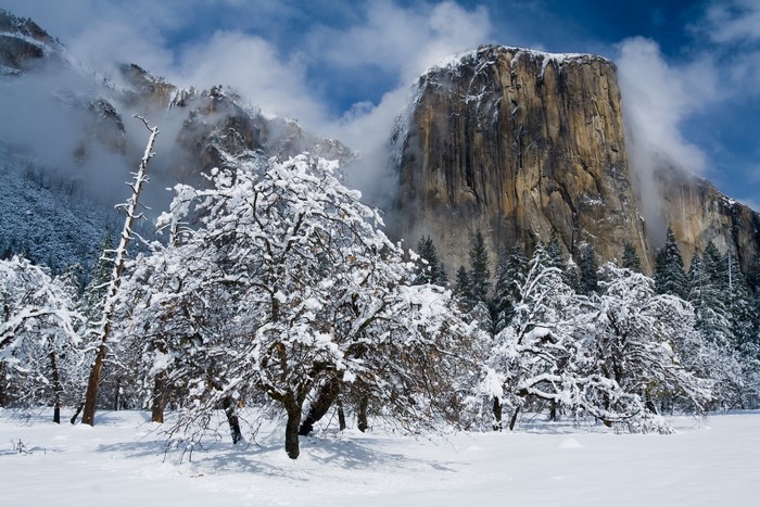El Capitan in Yosemite National Park during winter