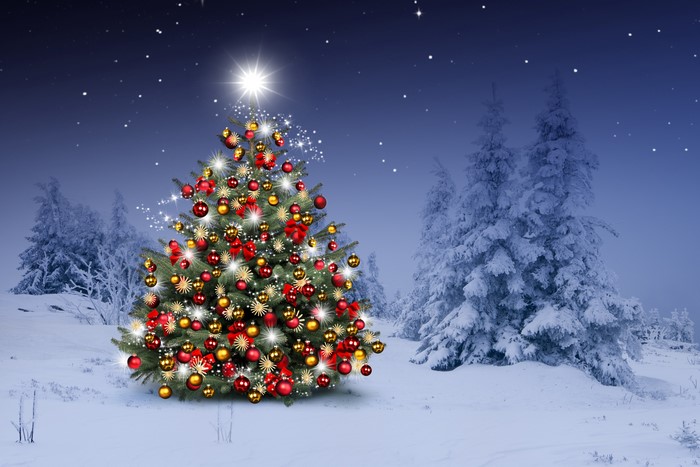 Decorated Christmas tree in a snowy forest at night