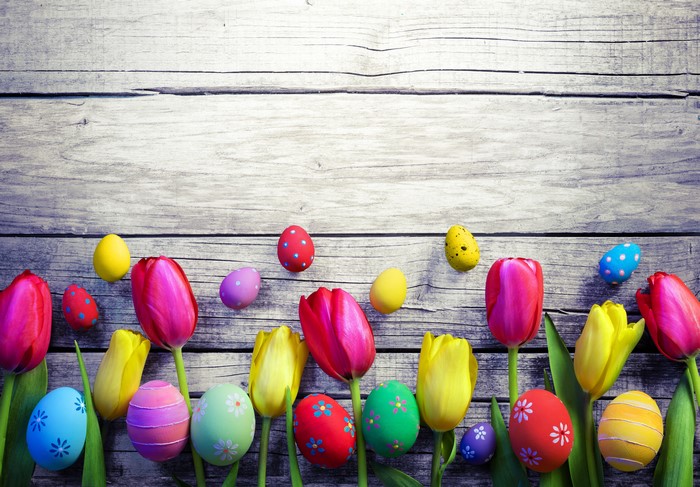 Easter Tulips and Eggs on Wood Planks