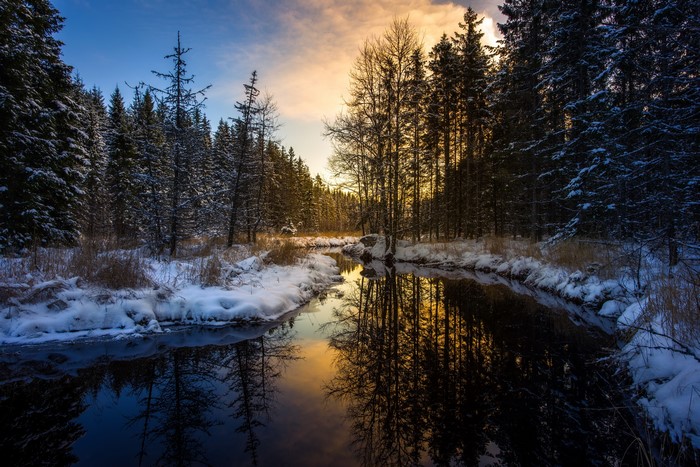 Winter forest with river at sunset
