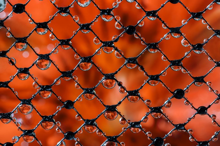 Water Drops on Black Mesh with Orange Background
