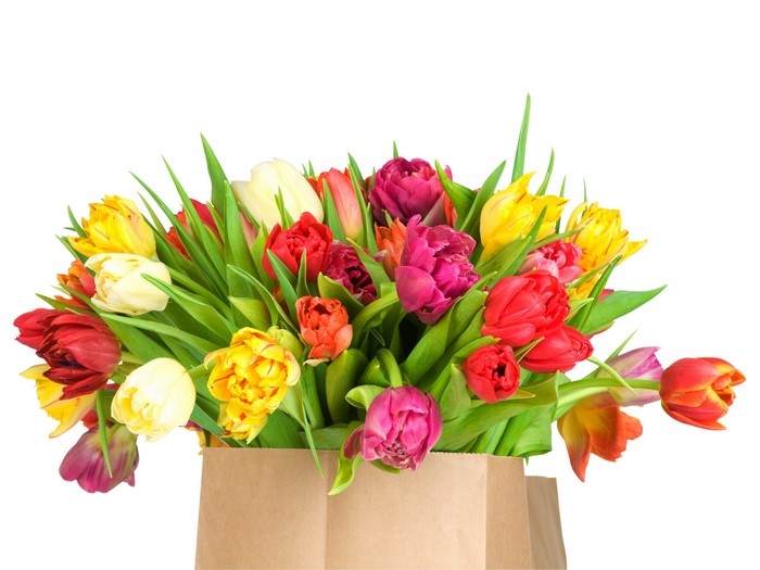 Multicolor Tulips Bouquet in Paper Bag