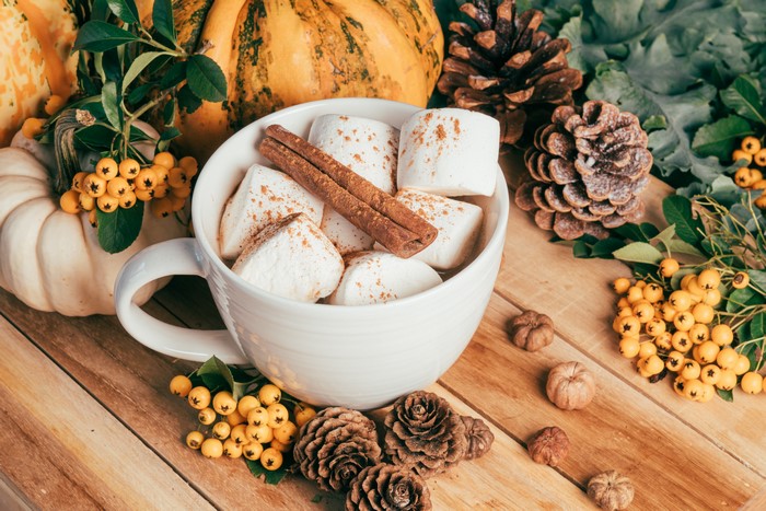 Hot chocolate with marshmallows and cinnamon sticks