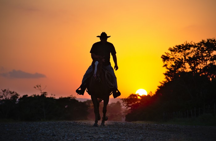 4K Silhouette of Cowboy on Horse at Sunset