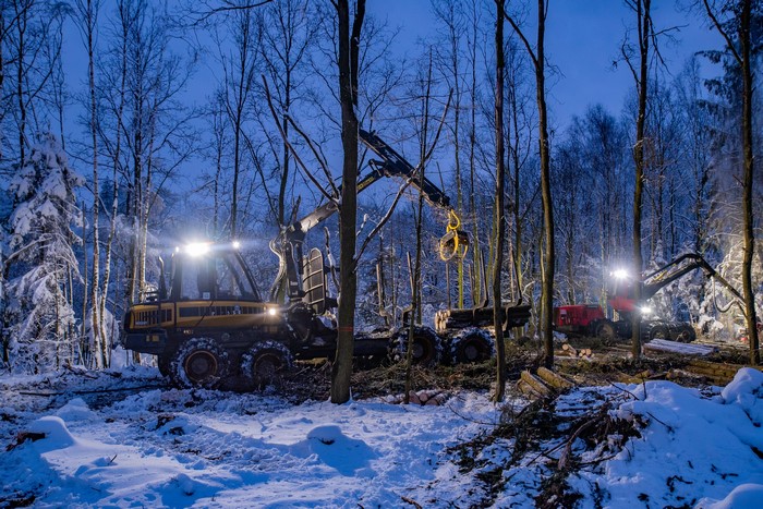 Forestry machines working in a snowy forest at dusk