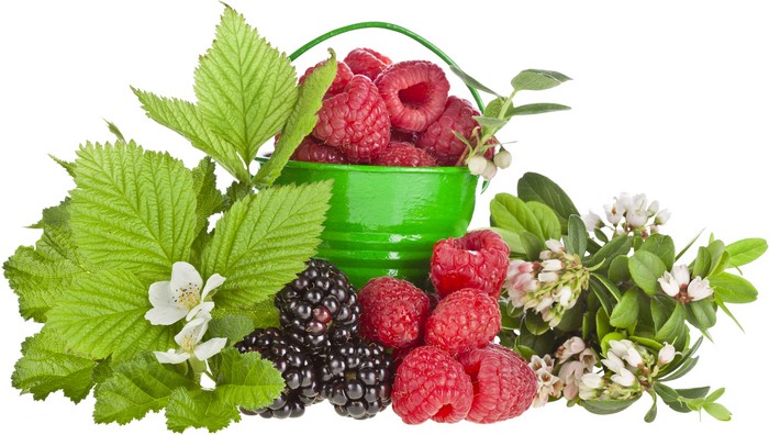 Raspberries and Blackberries in a green bucket with leaves and flowers