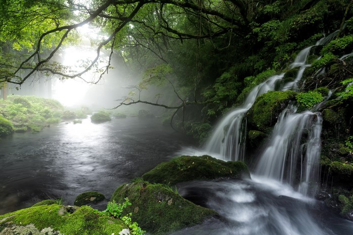 4K, Waterfalls, Stones, Fog, Moss, Branches, HD Wallpaper | Rare Gallery