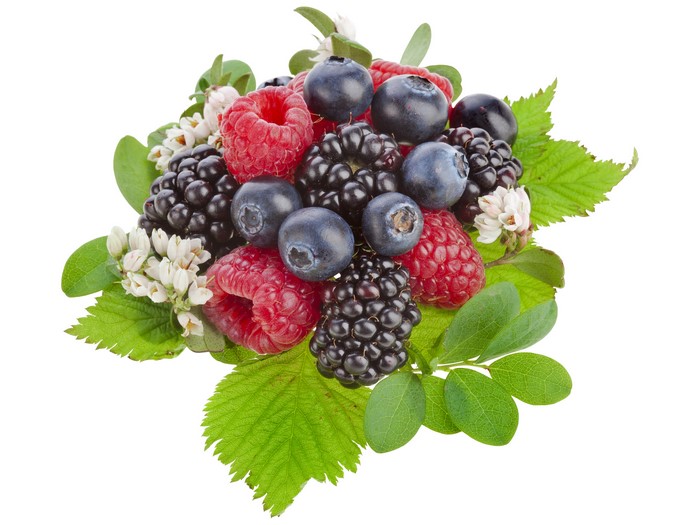 Raspberry, Blackberry, and Blueberries with Leaves and Flowers