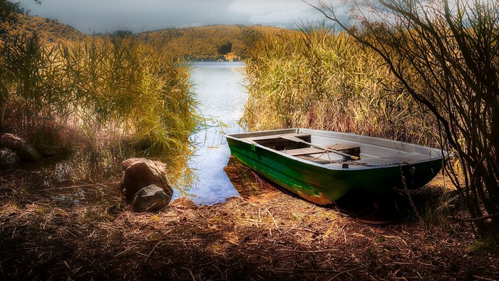 Green boat on a lake shore with reeds