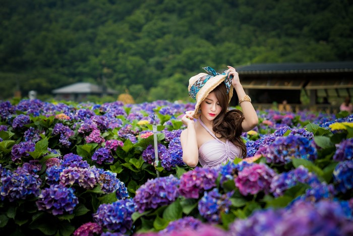 Asian woman in hat in hydrangea field