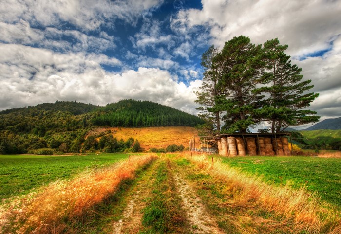 Rural landscape with hay bales and trees