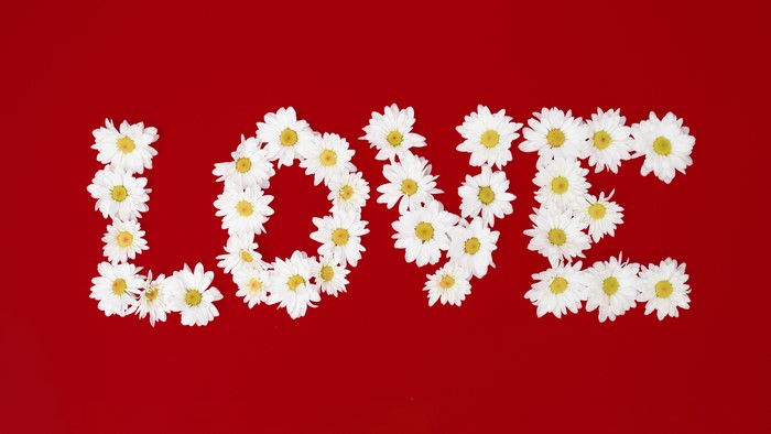 Love spelled with daisies on a red background