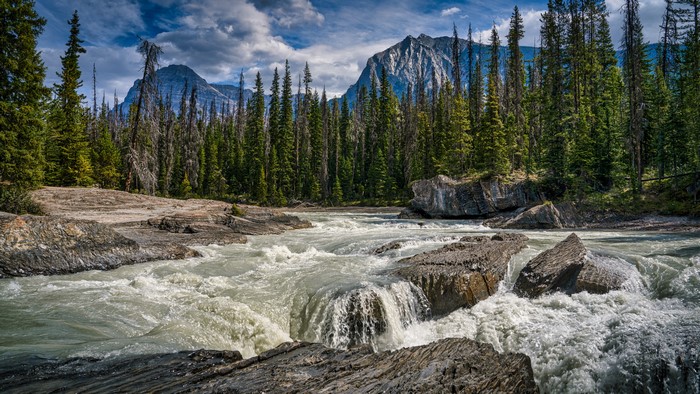 Emerald Lake in Yoho National Park 4K