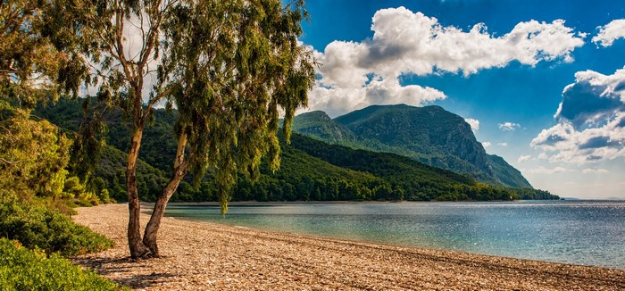 Pebble beach with trees and mountains in Euboea, Greece