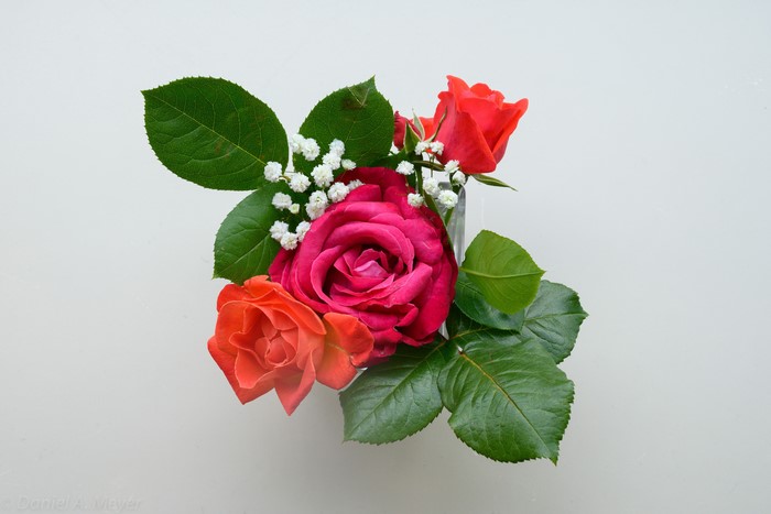 Bouquet of Roses with Baby's Breath