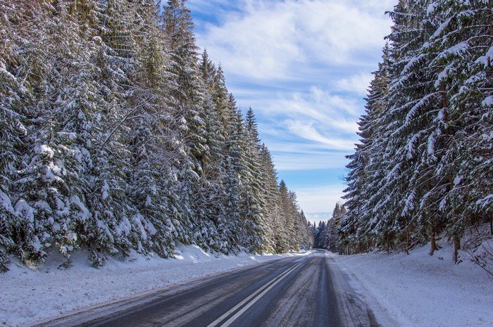 Road through a snowy forest in Poland