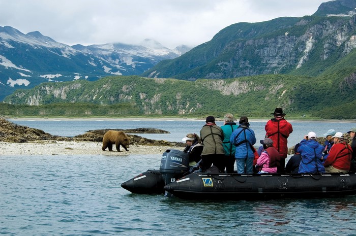 Tourists observe a brown bear from a boat in Alaska
