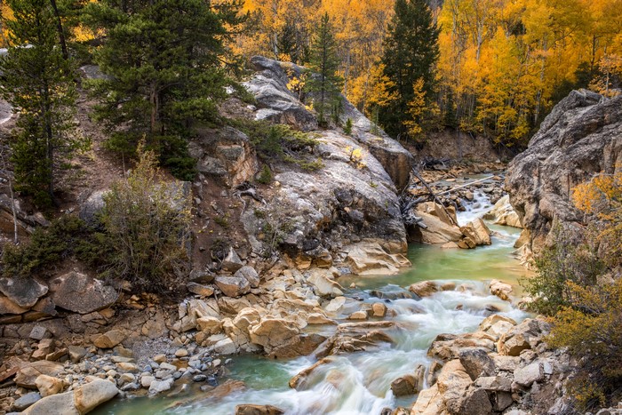 Autumn River Flowing Through Rocky Canyon in Colorado