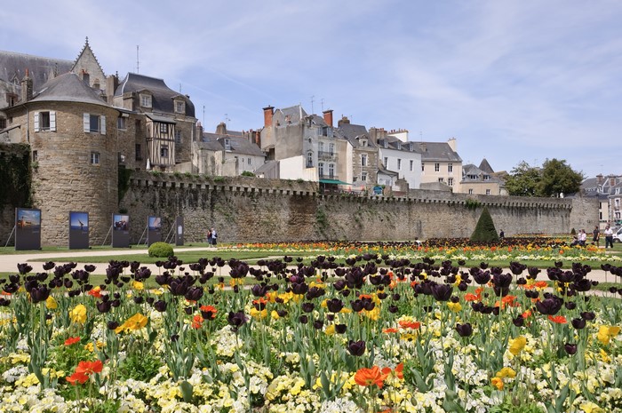 Tulips in a French Garden with Ancient Walls
