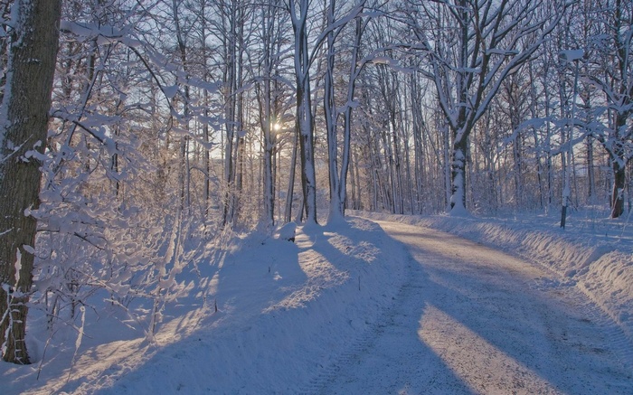 Snowy forest road with sunbeams through trees
