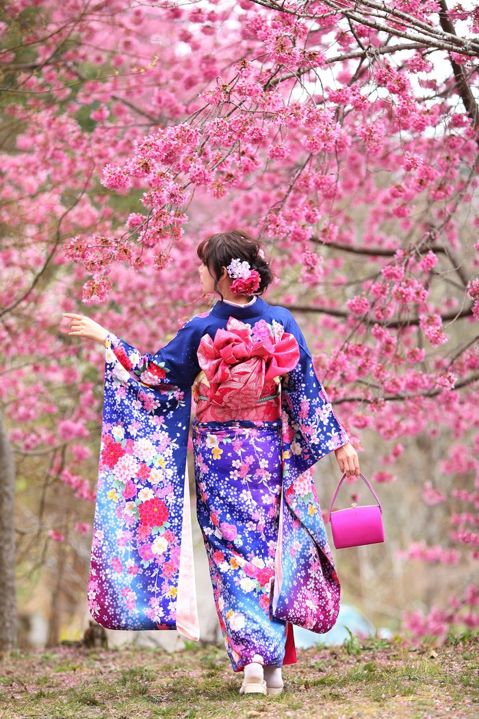 Woman in Kimono with Handbag under Sakura Trees