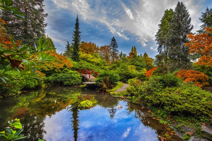 Kubota Garden pond with red bridge and autumn trees