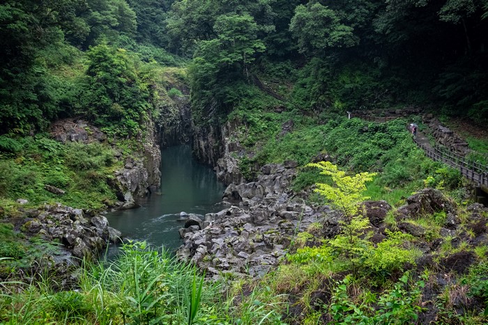 Takachiho Gorge, Japan, River and Trees