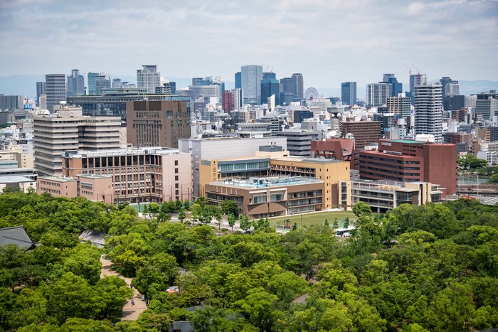 Osaka, Japan Cityscape with Trees