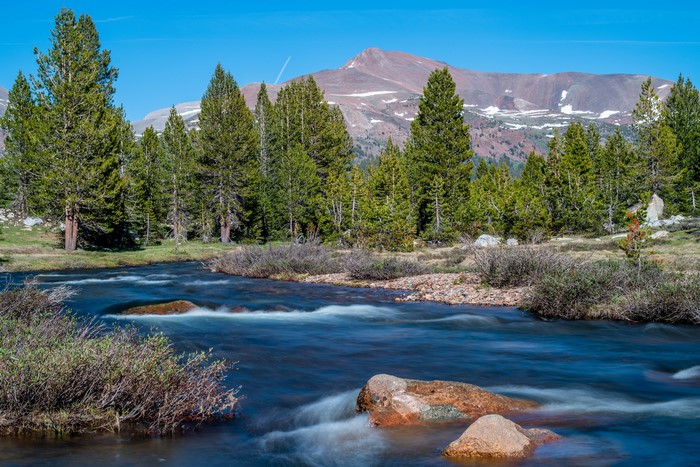 River flowing through trees with mountains in Yosemite, California