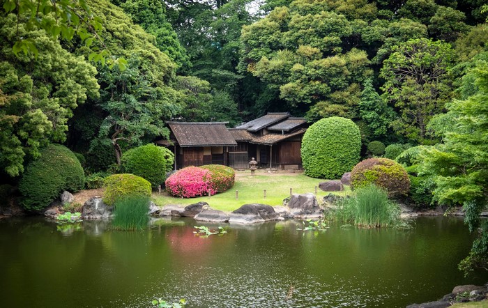 Japanese Garden with Pond and Traditional House
