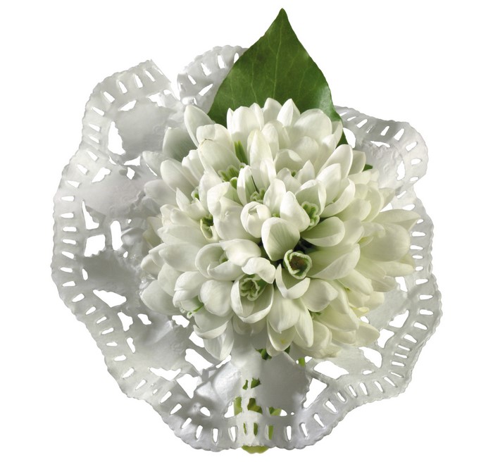 Bouquet of white snowdrops on a doily