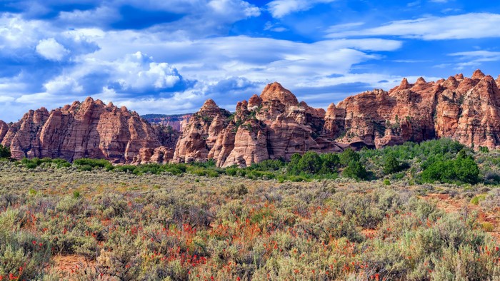 Kolob Canyon, Zion National Park, Utah, USA