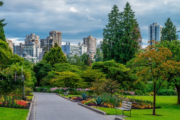 Stanley Park Vancouver Canada Trees and Buildings