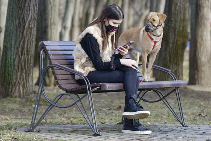 Girl with dog on bench wearing masks