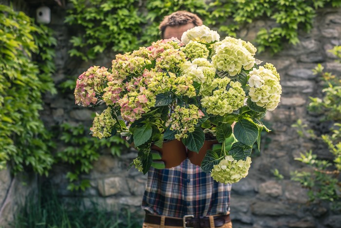 Man holding a bouquet of hydrangeas