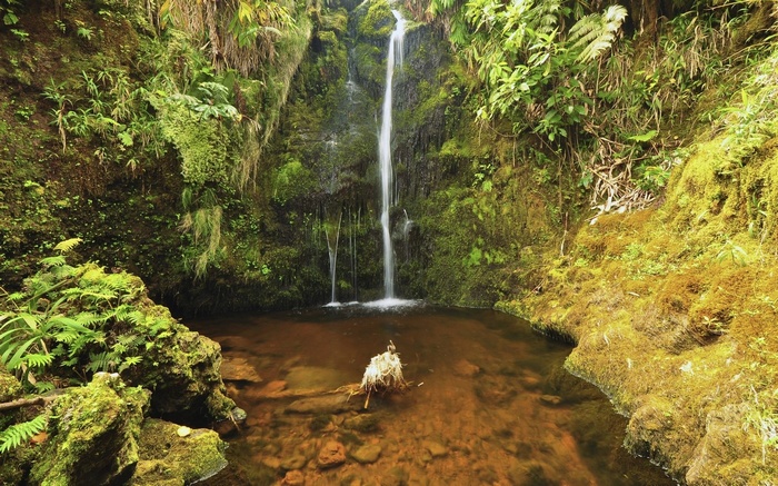Waterfall cascading into a jungle pool with mossy rocks