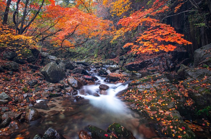 Autumn stream flowing through rocks with colorful foliage
