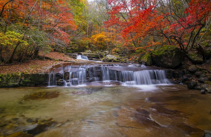 4K Autumn River with Stones and Moss